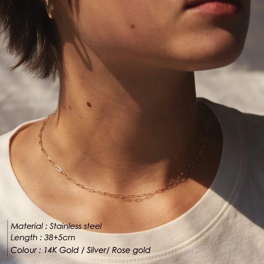 Modessie Gold Color 316 Stainless Steel Chain Necklace Women Chain Choker for Women Brand Jewelry