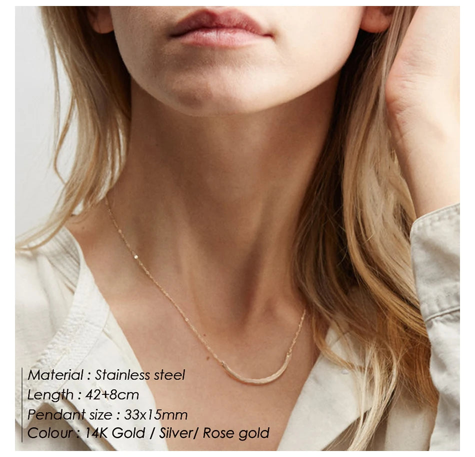 Modessie Women Statement Stainless Steel Necklace for Women Simple Thin Chain Necklace Choker Necklace Luxury Designer Jewelry