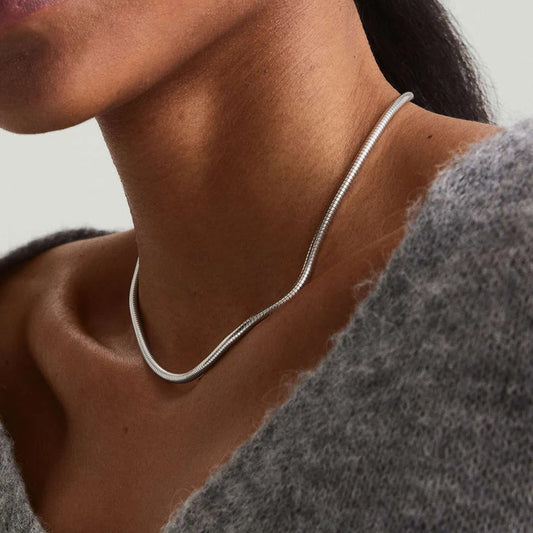 Modessie Silver Color Snake Chain Choker For Women Men Stainless Steel Necklace Minimalist Collar Jewelry  Party Gift