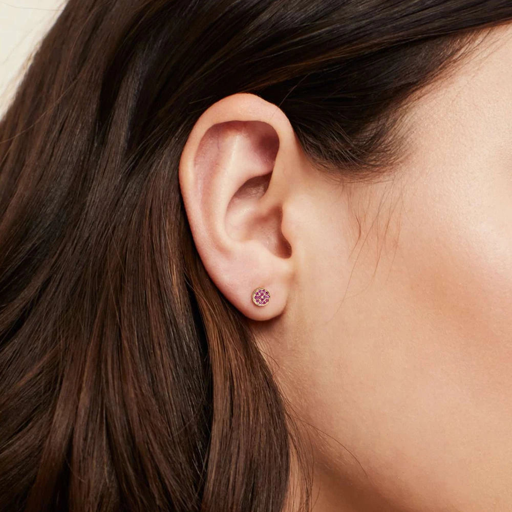 Modessie New Birthstone Pierced Earrings Zirconia Earrings Stainless Steel Jewelry Birthday Gift