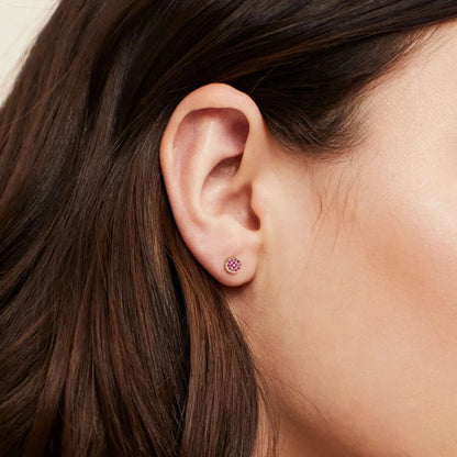 Modessie New Birthstone Pierced Earrings Zirconia Earrings Stainless Steel Jewelry Birthday Gift