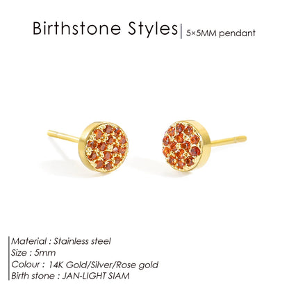 Modessie New Birthstone Pierced Earrings Zirconia Earrings Stainless Steel Jewelry Birthday Gift