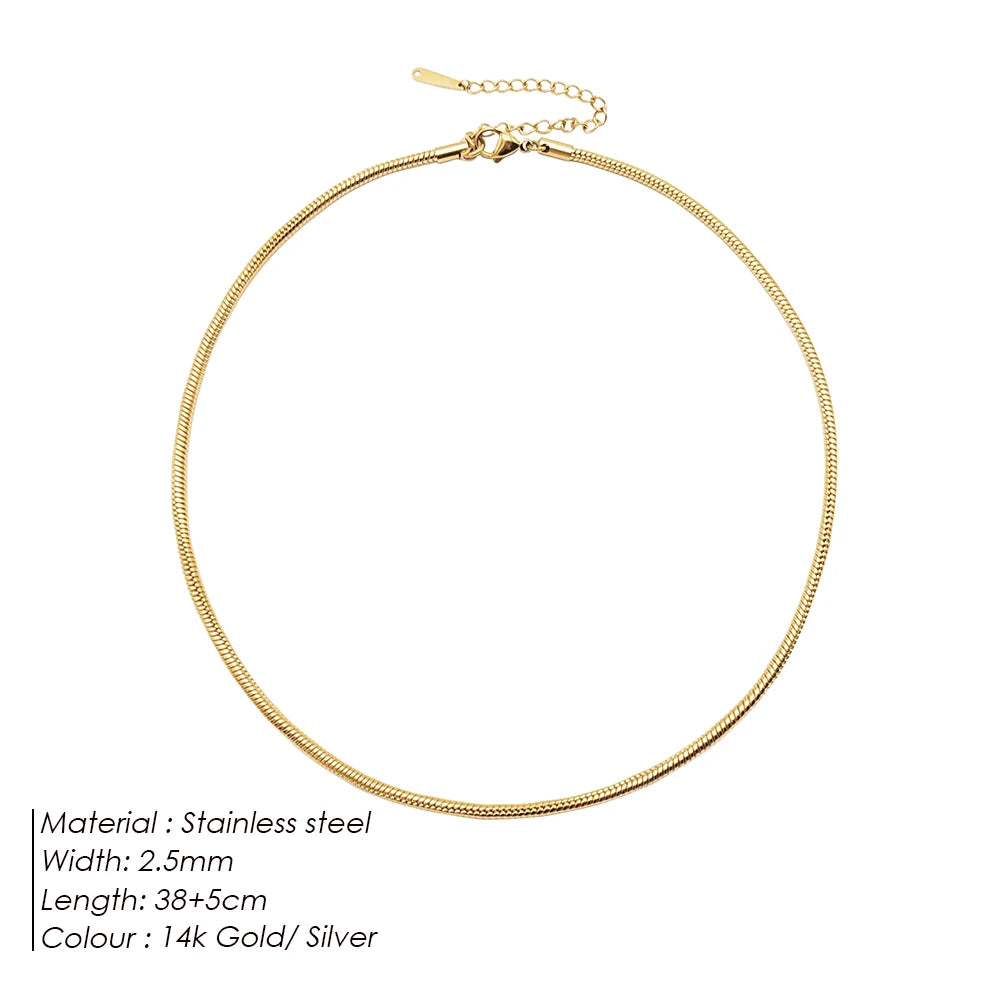 Modessie Snake Chain Choker Stainless Steel Necklace Minimalist Collar For Women Man Jewelry