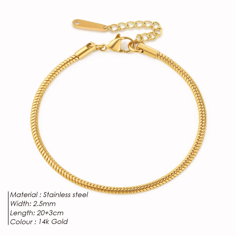 Modessie Snake Chain Anklet Stainless Steel  Adjustable Chain Ankle Gifts for Women Girls Jewelry Accessories