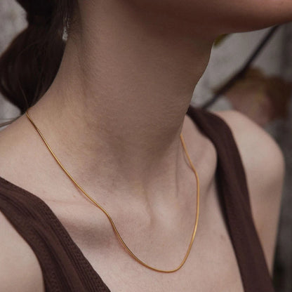 Modessie Snake Chain Choker Stainless Steel Necklace Minimalist Collar For Women Man Jewelry