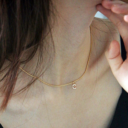 Modessie Stainless Steel Flat Snake Chain Initial Necklace Name Customized Choker Necklace Women's Jewelry