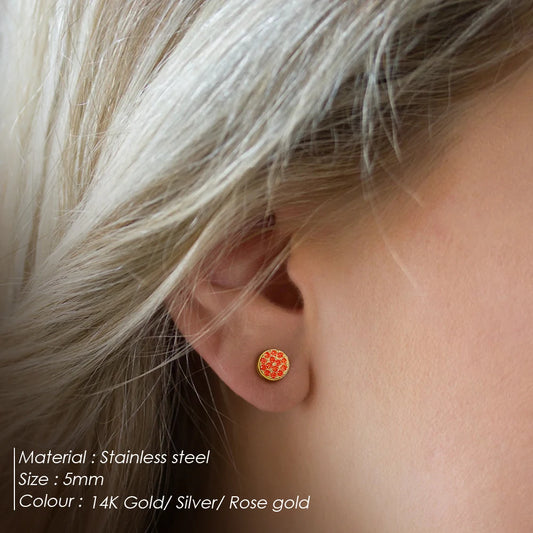 Modessie New Birthstone Pierced Earrings Zirconia Earrings Stainless Steel Jewelry Birthday Gift