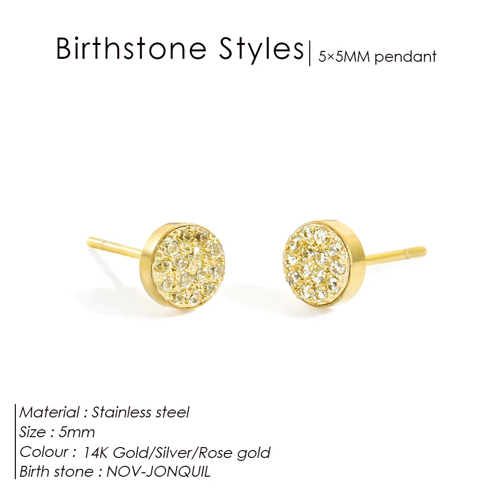 Modessie New Birthstone Pierced Earrings Zirconia Earrings Stainless Steel Jewelry Birthday Gift