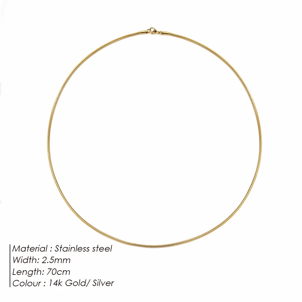 Modessie Snake Chain Choker Stainless Steel Necklace Minimalist Collar For Women Man Jewelry