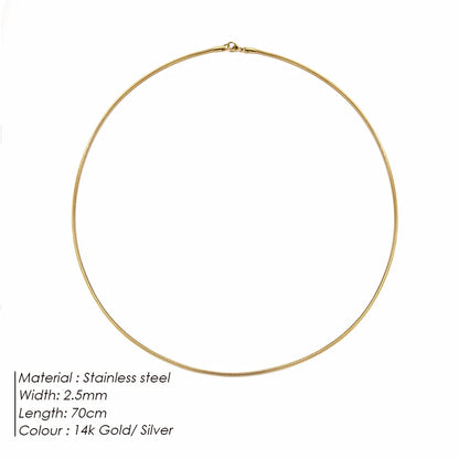 Modessie Snake Chain Choker Stainless Steel Necklace Minimalist Collar For Women Man Jewelry