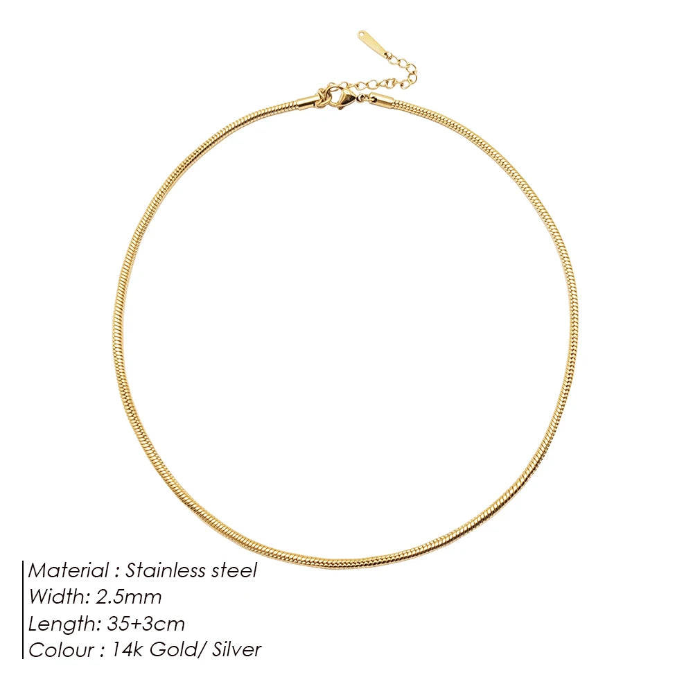 Modessie Snake Chain Choker Stainless Steel Necklace Minimalist Collar For Women Man Jewelry