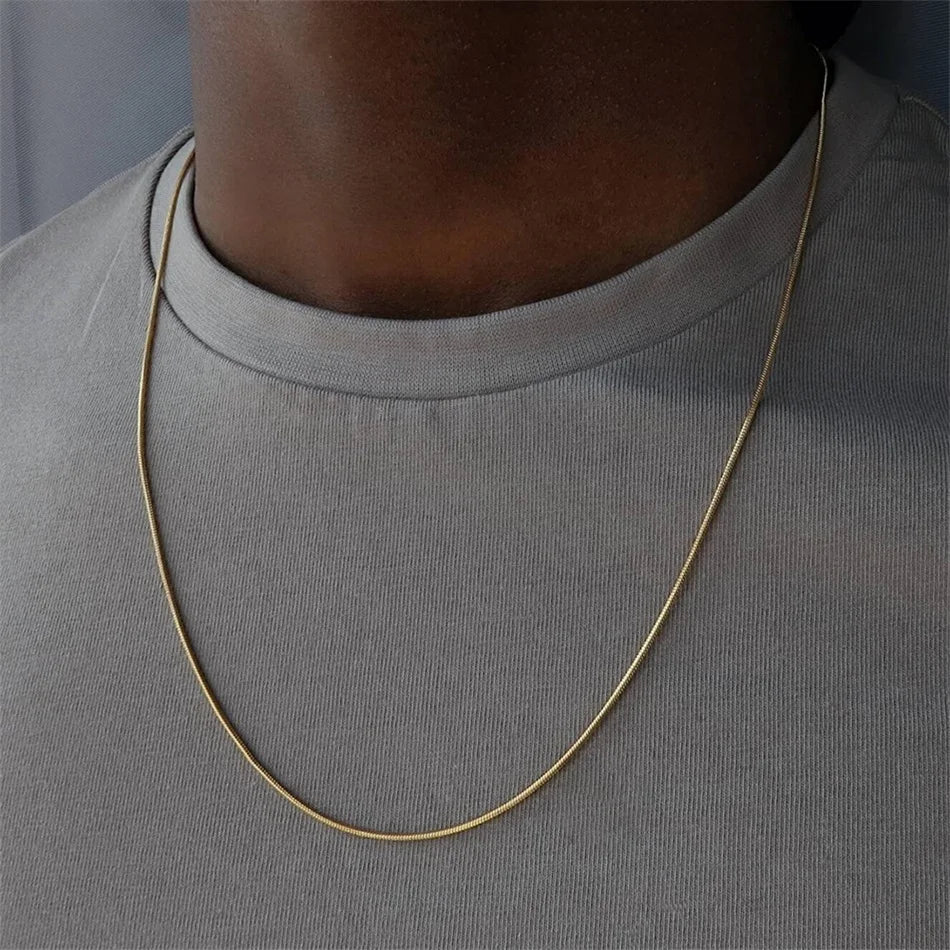 Modessie Snake Chain Choker Stainless Steel Necklace Minimalist Collar For Women Man Jewelry