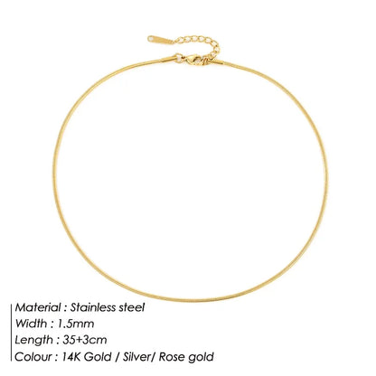 Modessie Snake Chain Choker Stainless Steel Necklace Minimalist Collar For Women Man Jewelry
