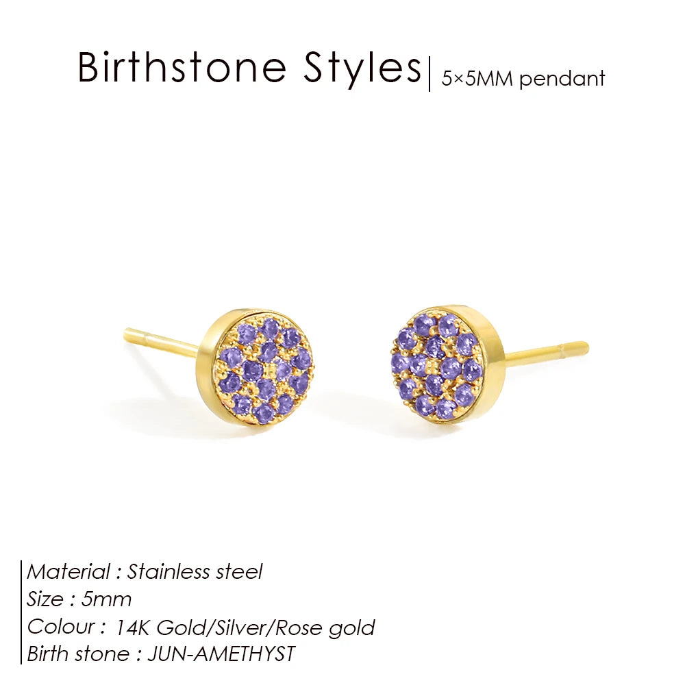 Modessie New Birthstone Pierced Earrings Zirconia Earrings Stainless Steel Jewelry Birthday Gift