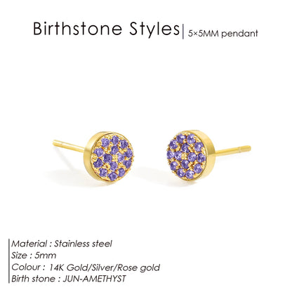 Modessie New Birthstone Pierced Earrings Zirconia Earrings Stainless Steel Jewelry Birthday Gift