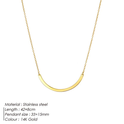 Modessie Women Statement Stainless Steel Necklace for Women Simple Thin Chain Necklace Choker Necklace Luxury Designer Jewelry