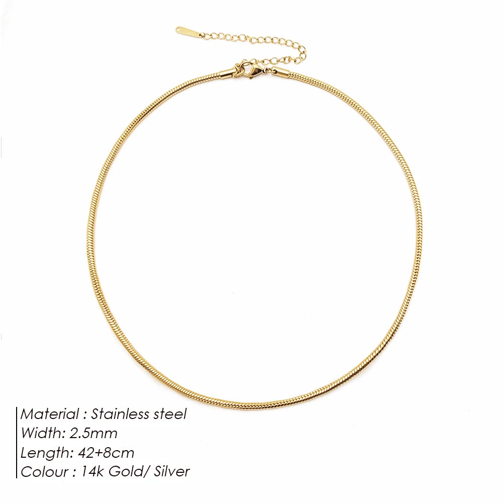 Modessie Snake Chain Choker Stainless Steel Necklace Minimalist Collar For Women Man Jewelry