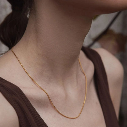 Modessie Snake Chain Choker Stainless Steel Necklace Minimalist Collar For Women Man Jewelry