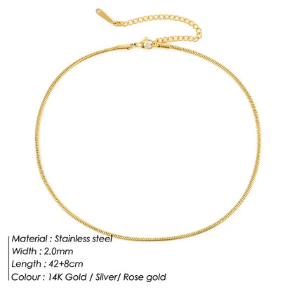 Modessie Snake Chain Choker Stainless Steel Necklace Minimalist Collar For Women Man Jewelry